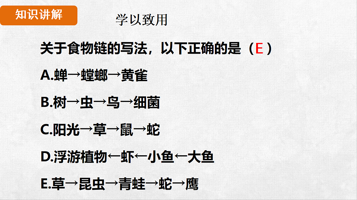 18264261第7页