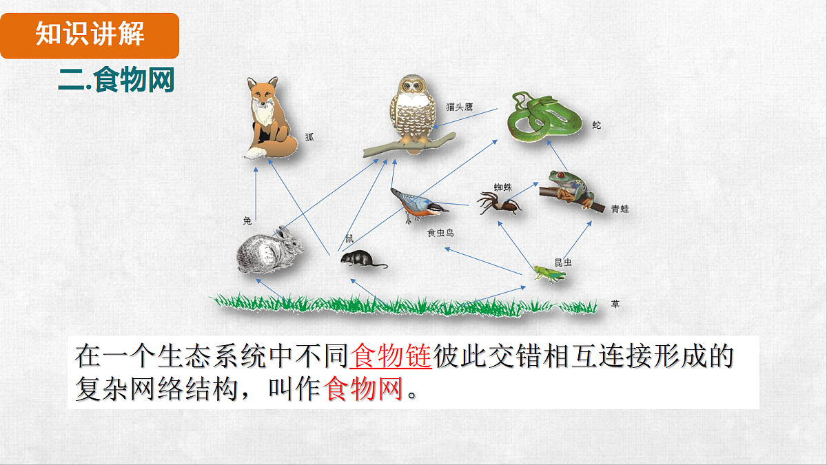 18264261第8页