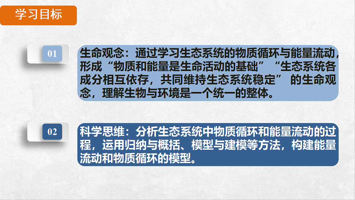 18264310第2页