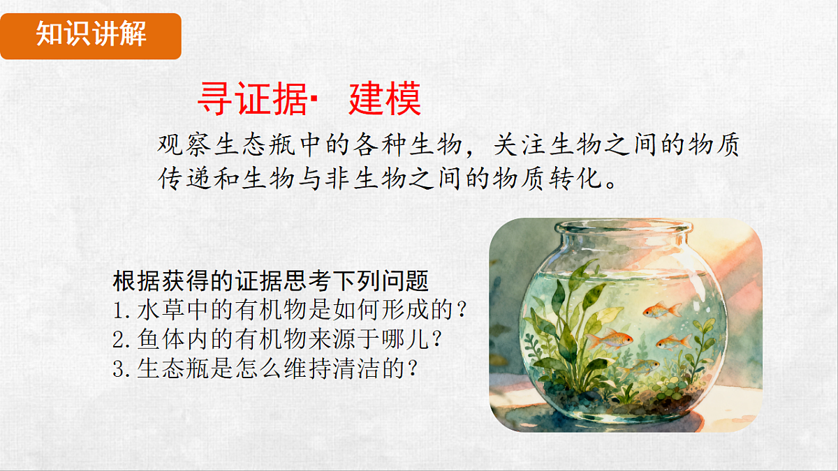 18264310第5页