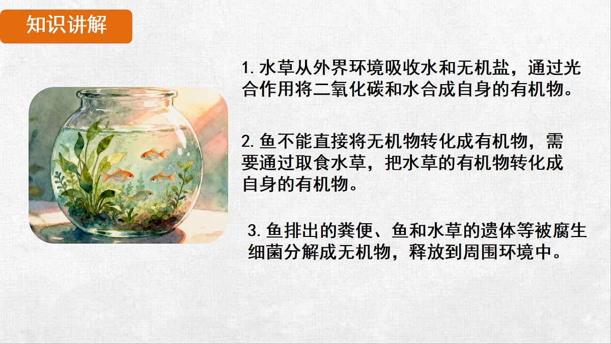 18264310第6页