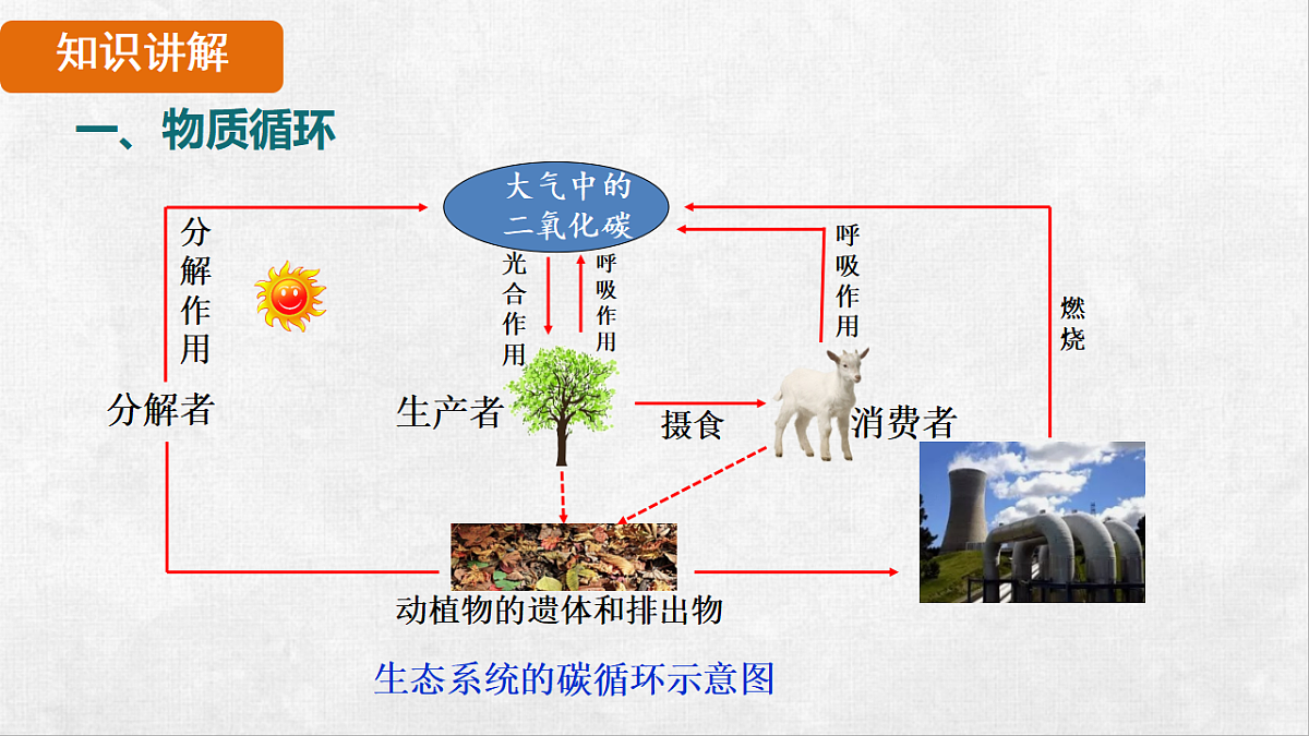 18264310第7页
