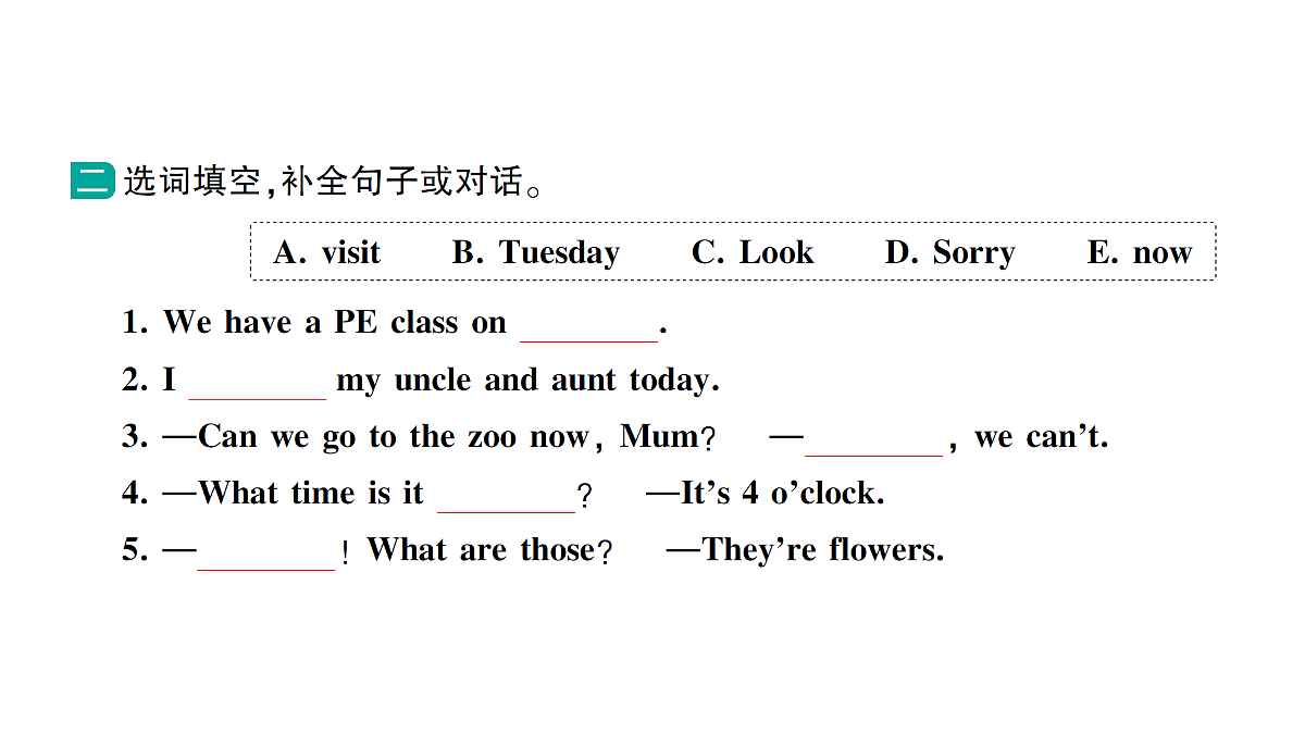18264361第3页