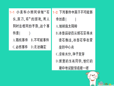 2026七年级数学下册第三章概率初步1.感受可能性作业课件北师大版（2024）（含答案）