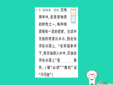 2026七年级数学下册第三章概率初步1.感受可能性作业课件北师大版（2024）（含答案）