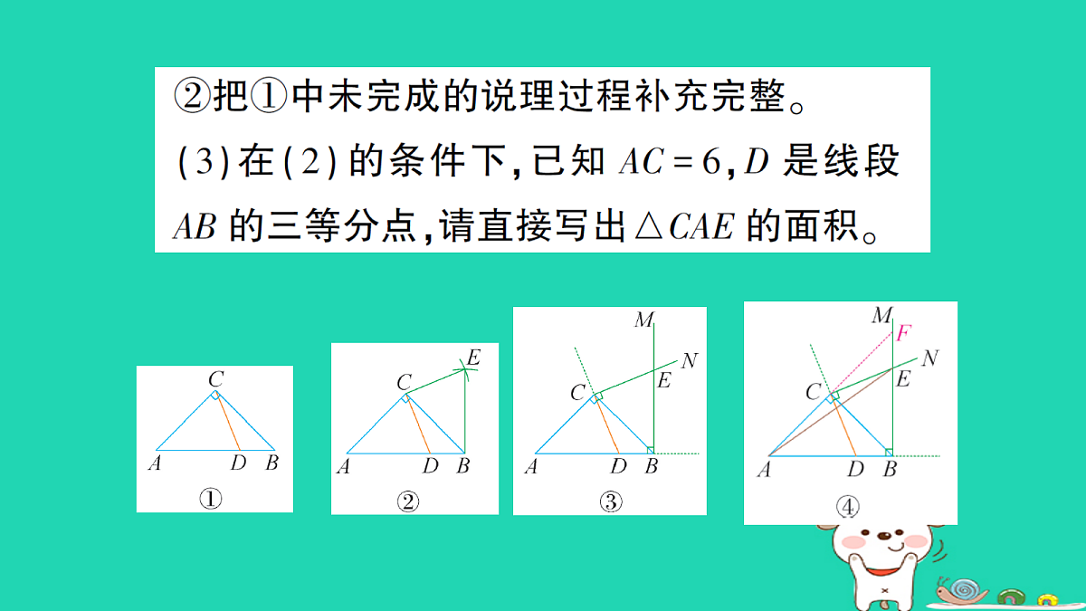 18264951第5页