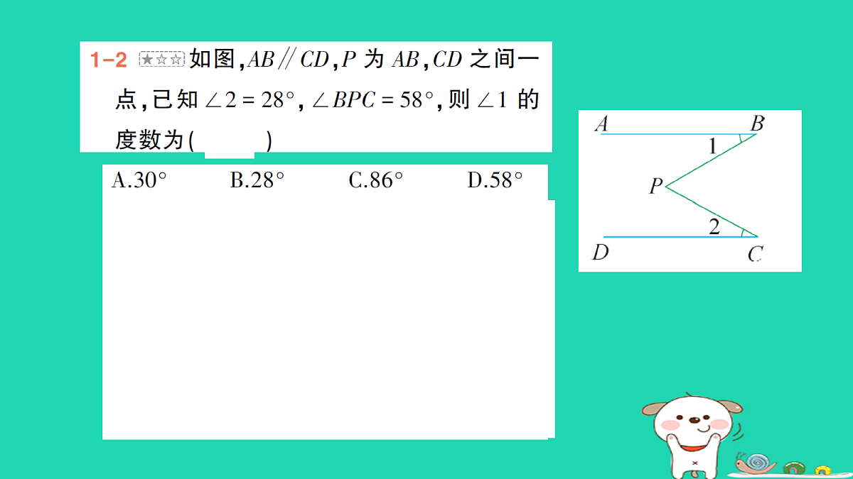 18264978第5页