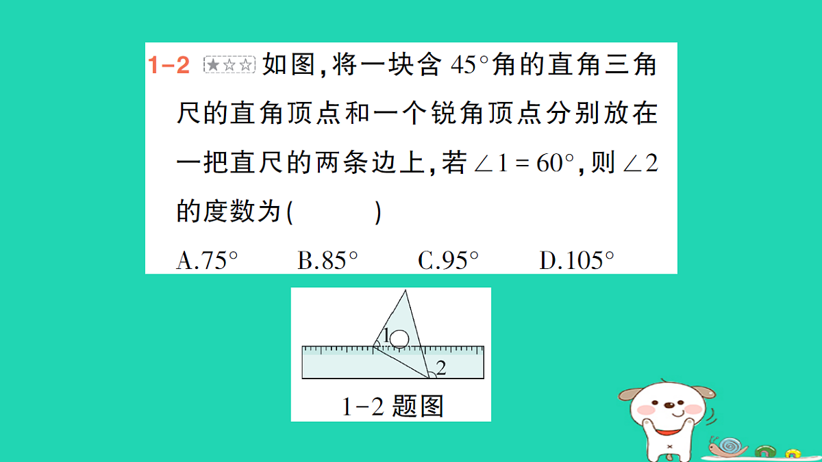 18264981第5页