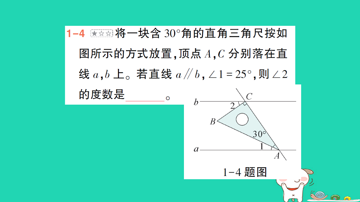 18264981第7页