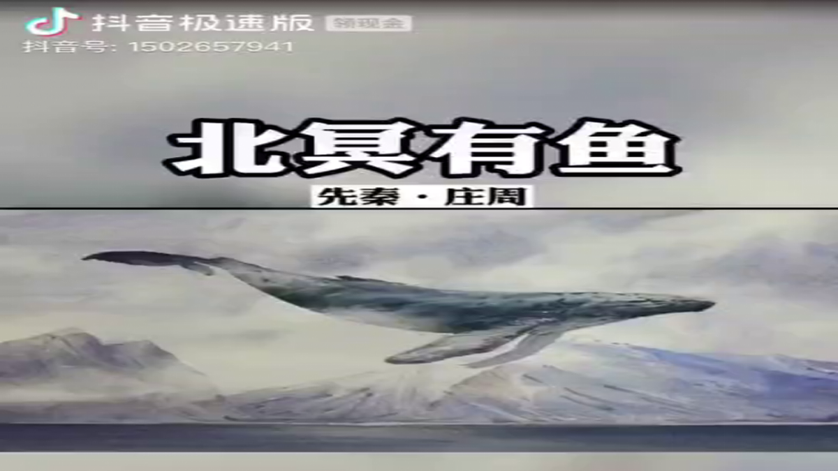 18268012第5页