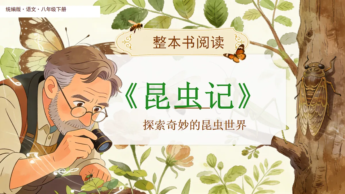 18268016第1页
