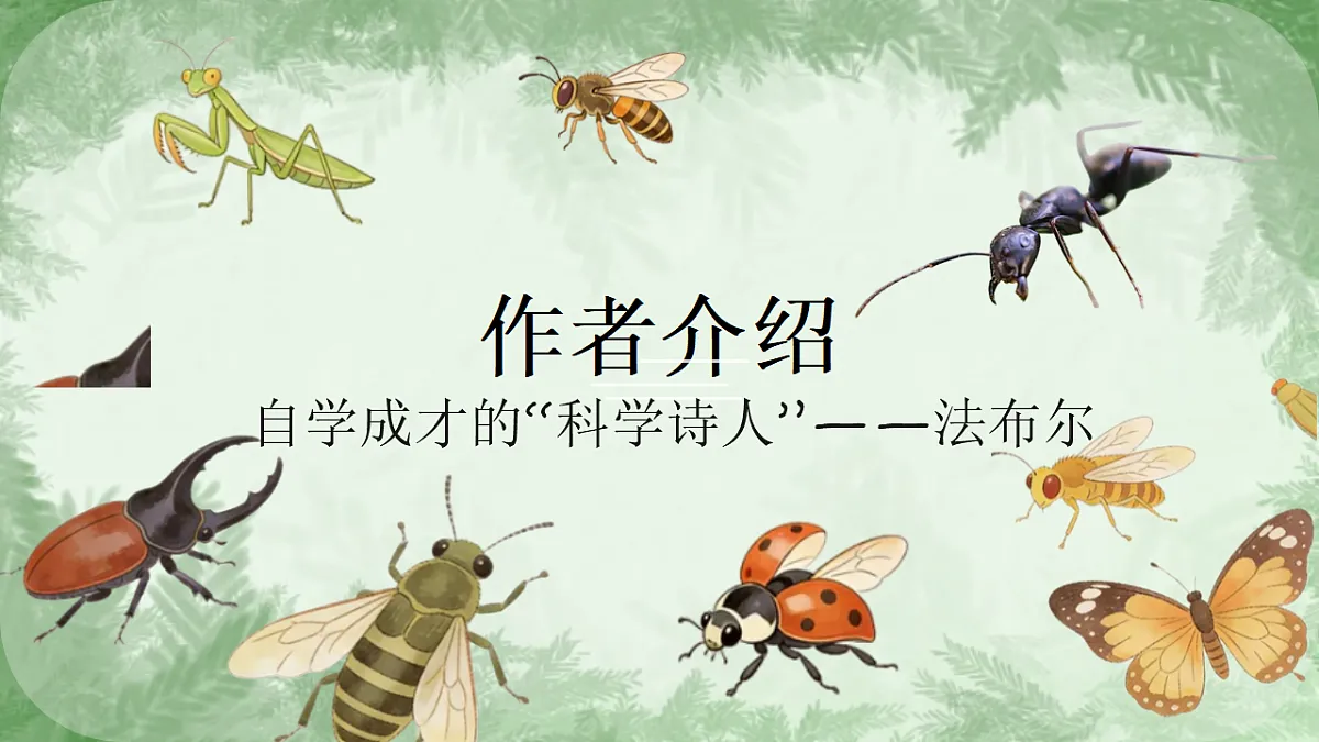 18268016第3页