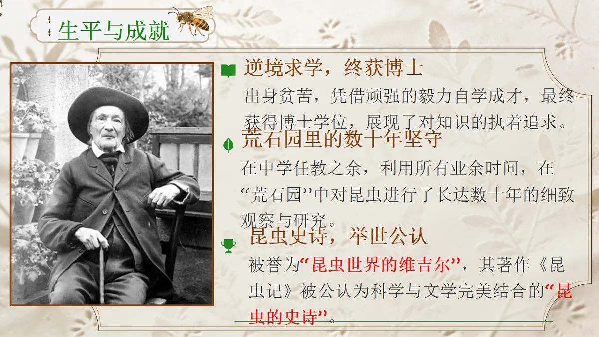 18268016第4页