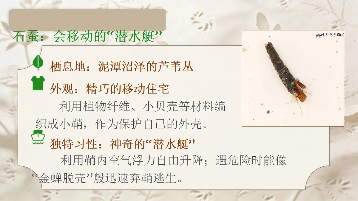 18268016第7页