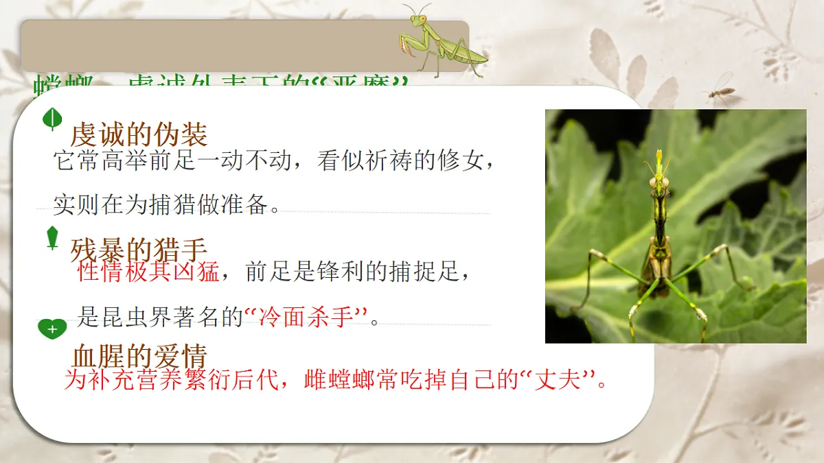 18268016第8页