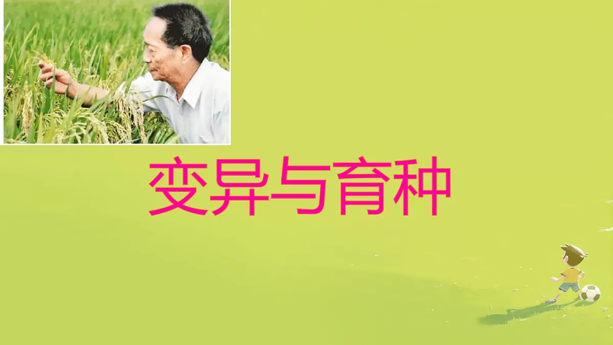 18268325第1页