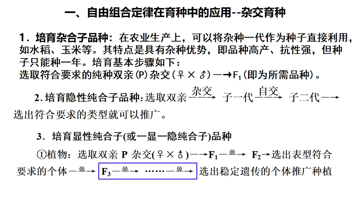18268325第2页