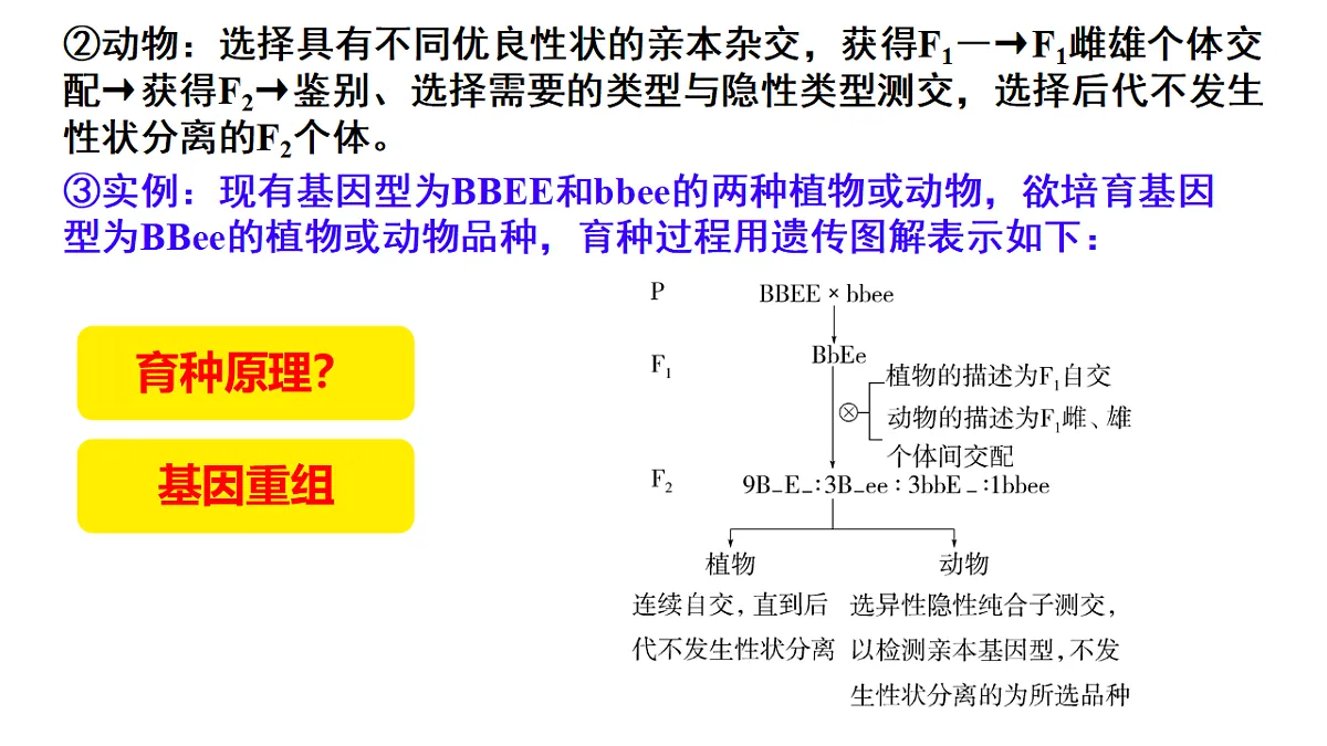 18268325第3页