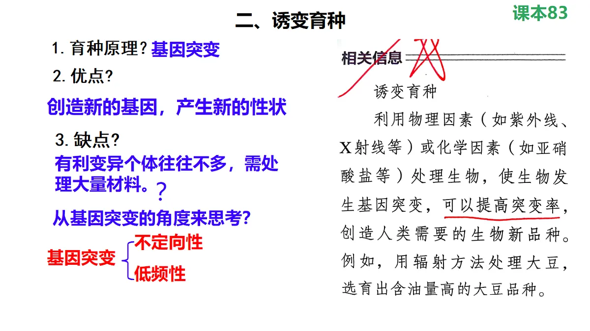 18268325第4页
