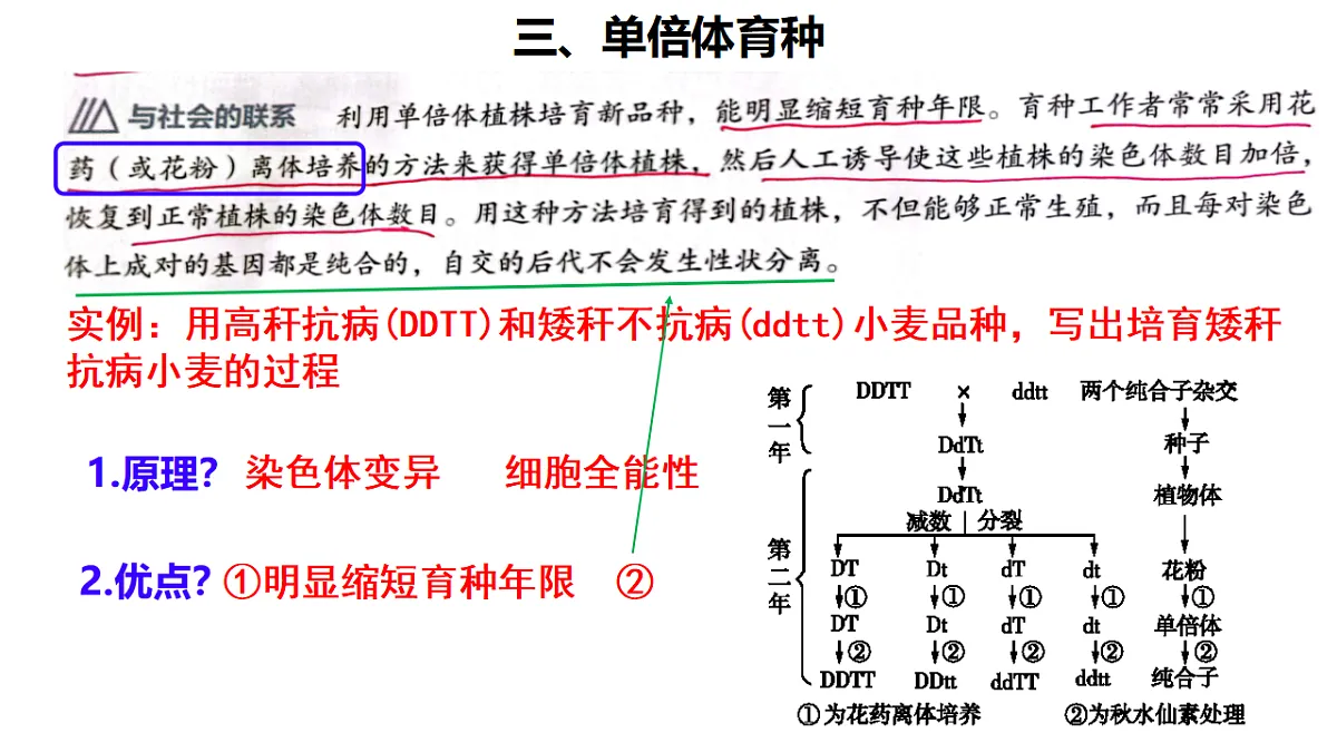 18268325第5页