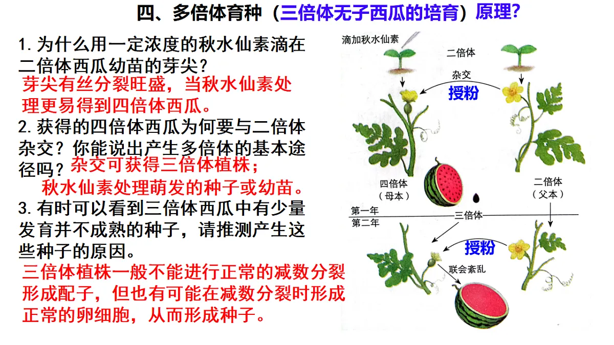 18268325第6页