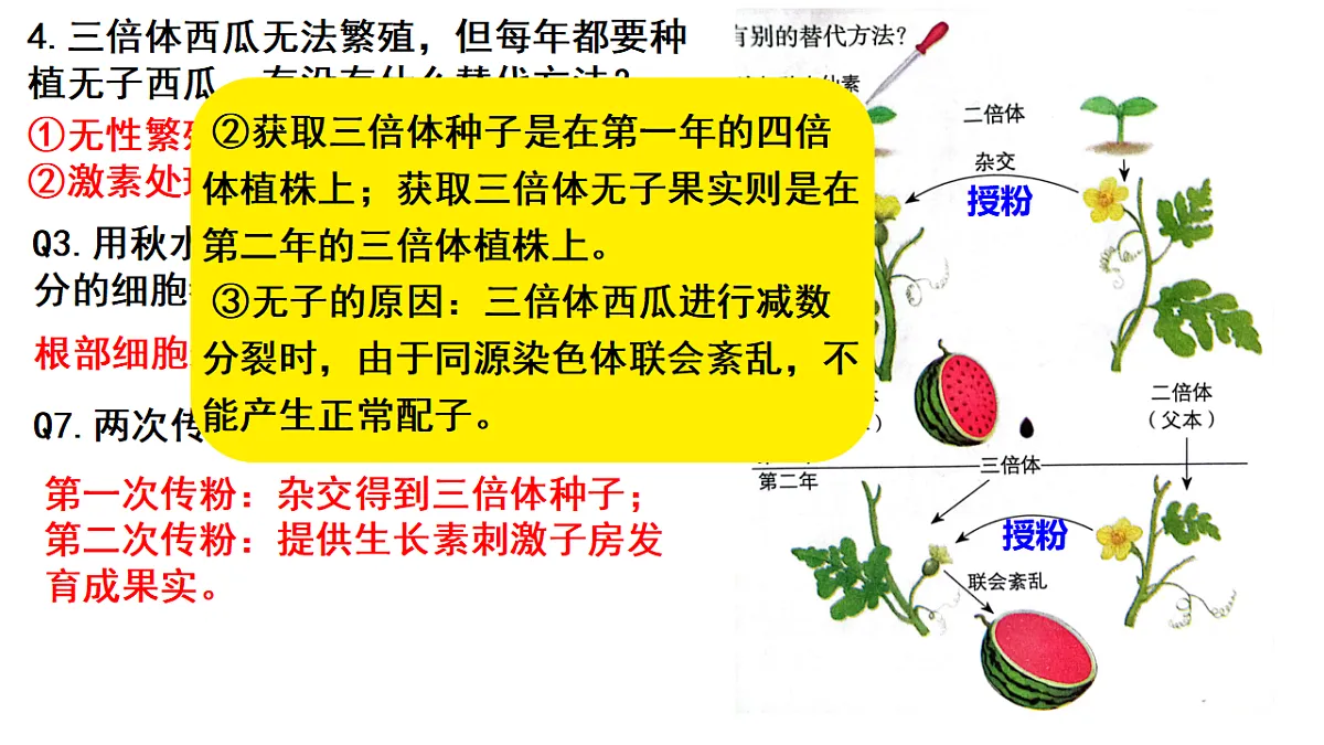 18268325第7页
