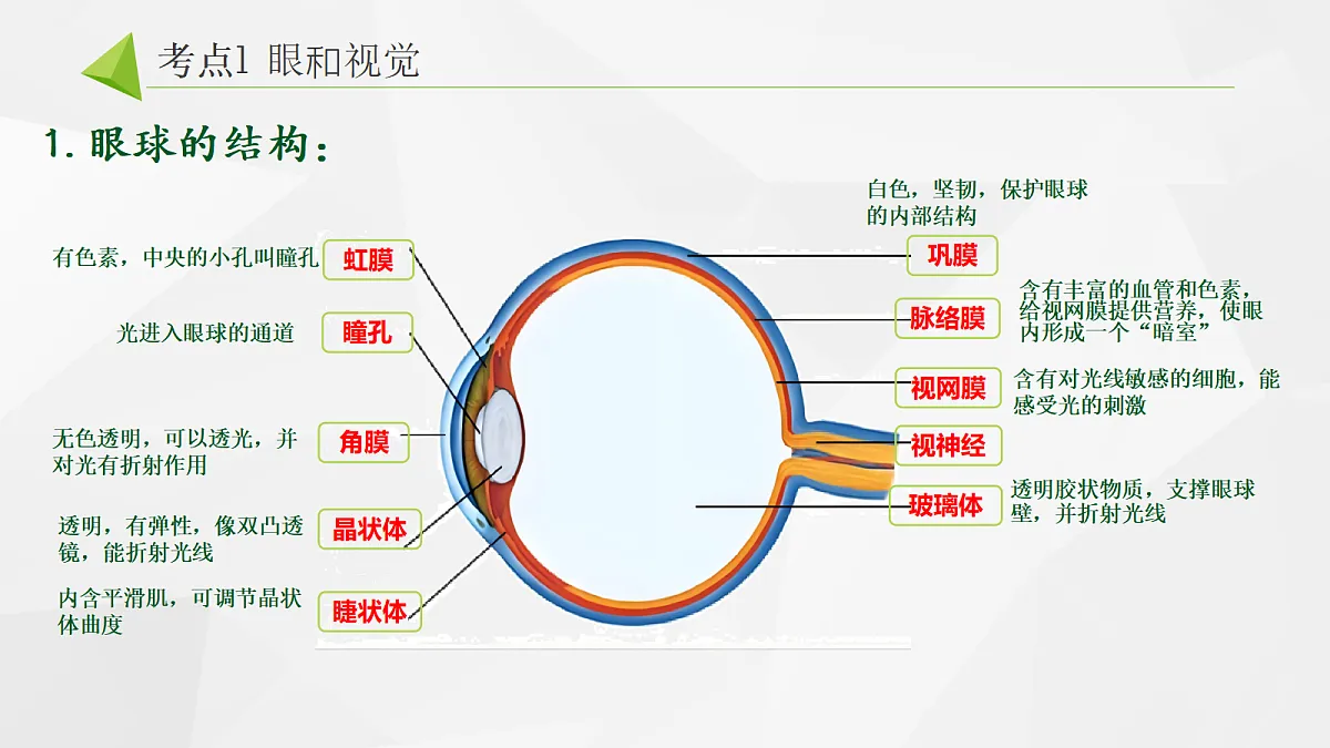 18268331第2页