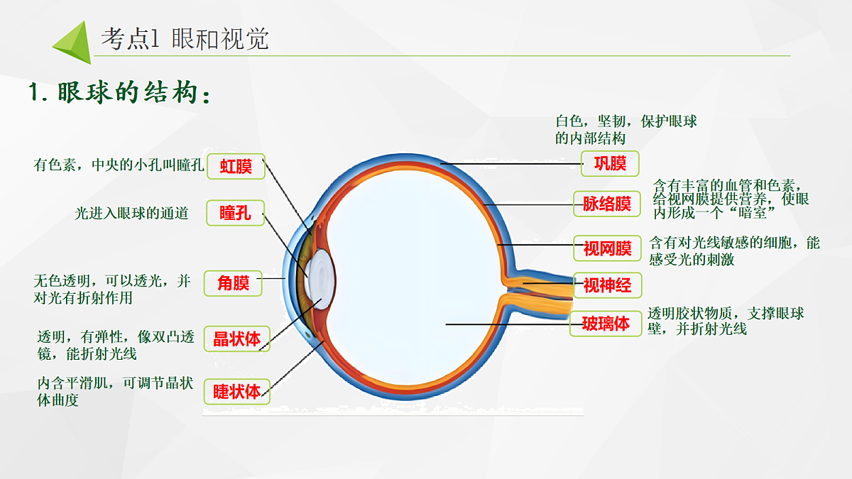 18268331第2页