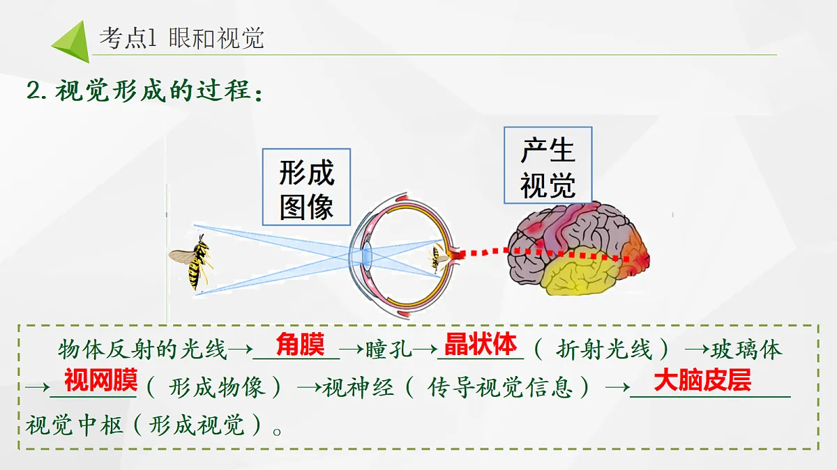 18268331第3页