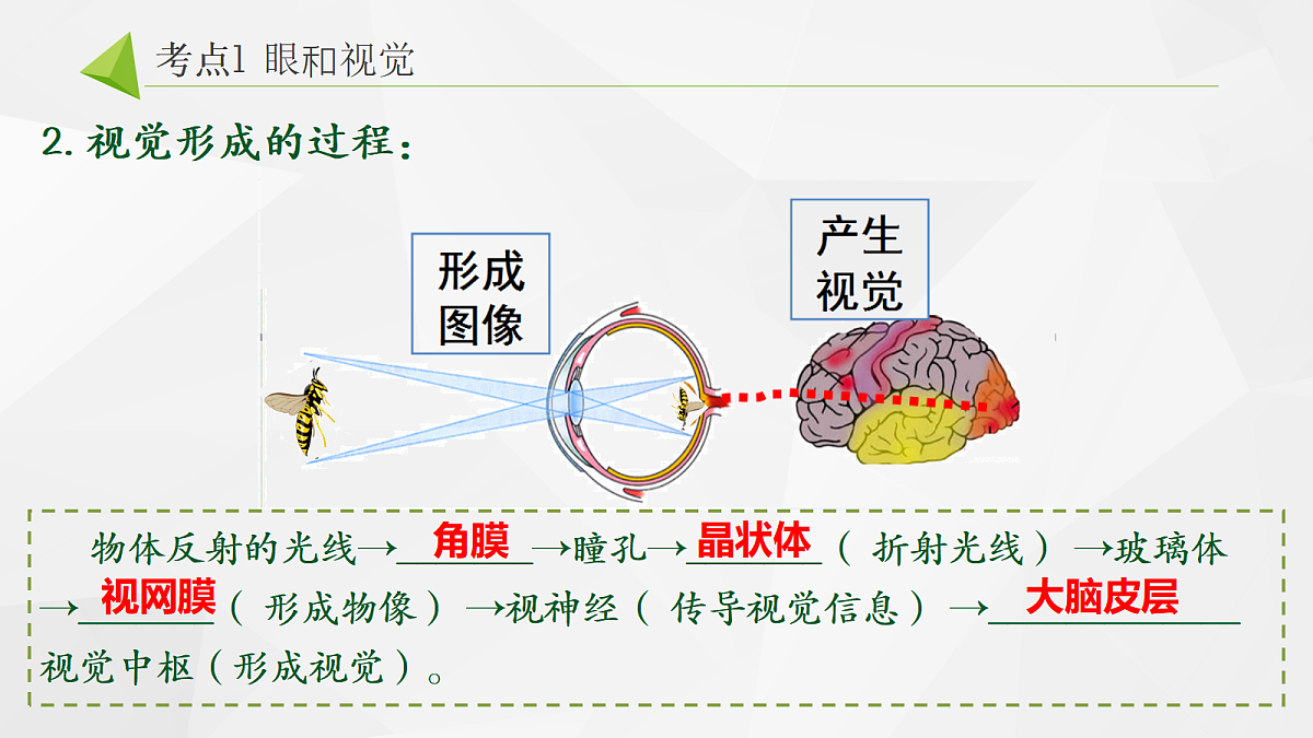 18268331第3页