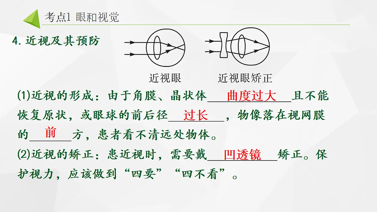 18268331第5页