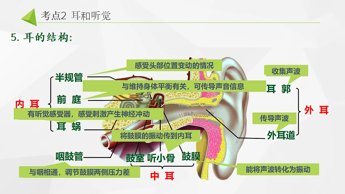18268331第6页