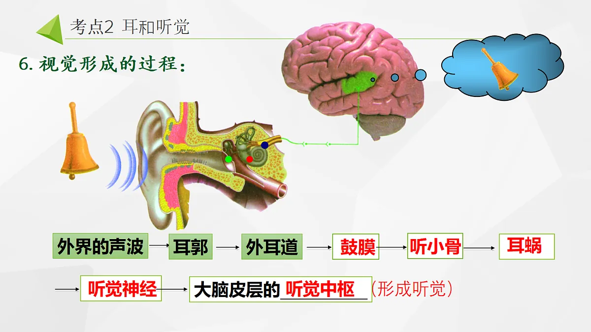 18268331第7页