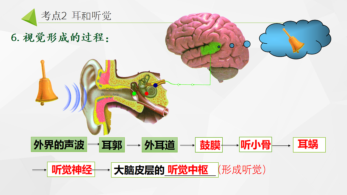 18268331第7页
