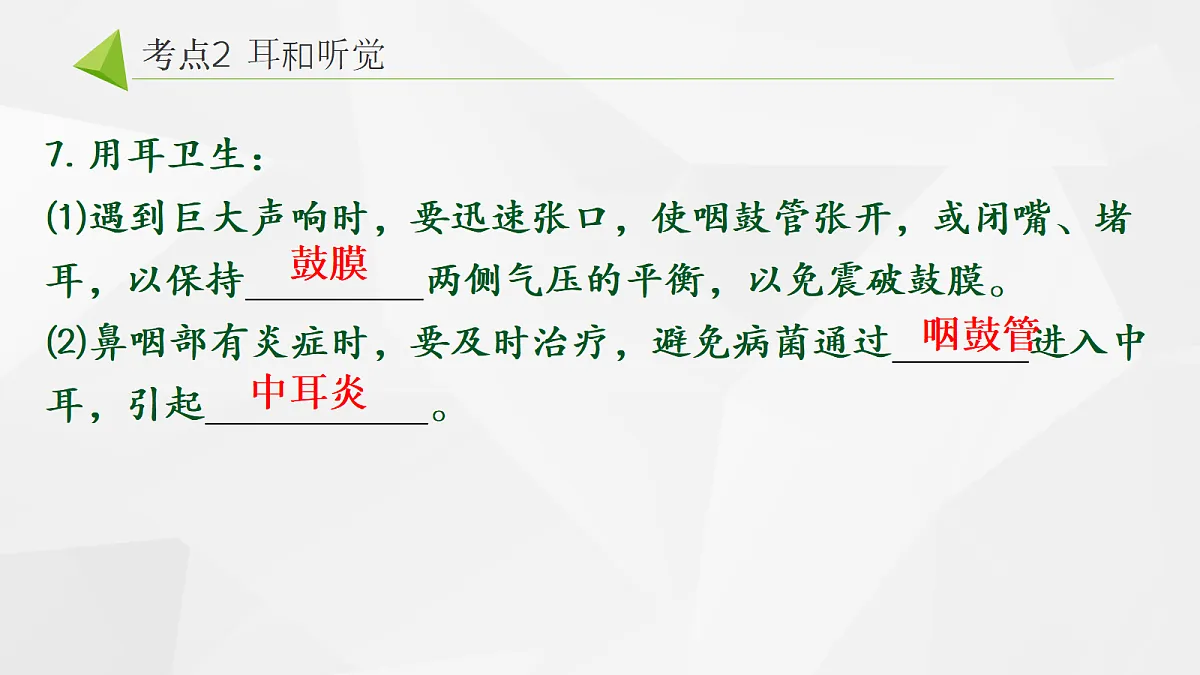 18268331第8页