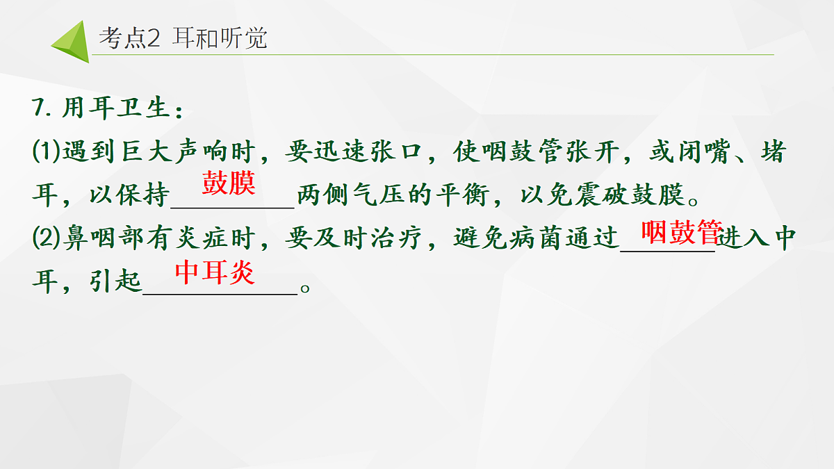 18268331第8页