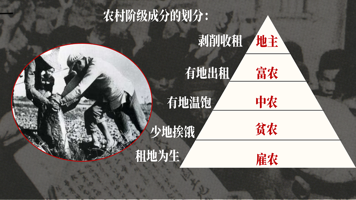 18268560第6页
