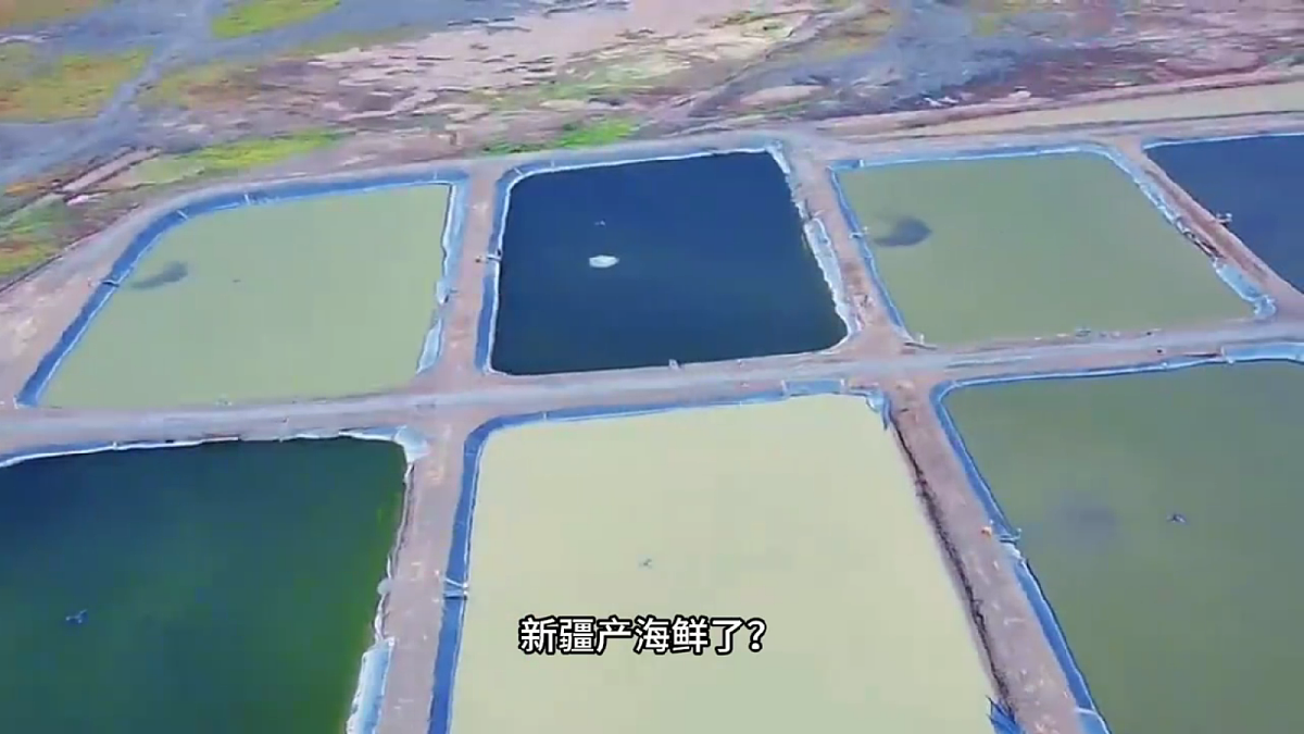 【湘教新版】8下第八章 第三节 《新疆维吾尔自治区的地理概况与开发保护》教学课件（第2课时）第2页