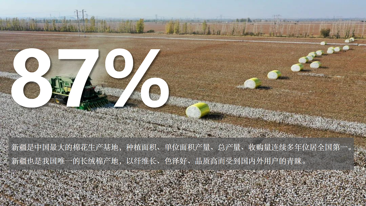 【湘教新版】8下第八章 第三节 《新疆维吾尔自治区的地理概况与开发保护》教学课件（第2课时）第7页