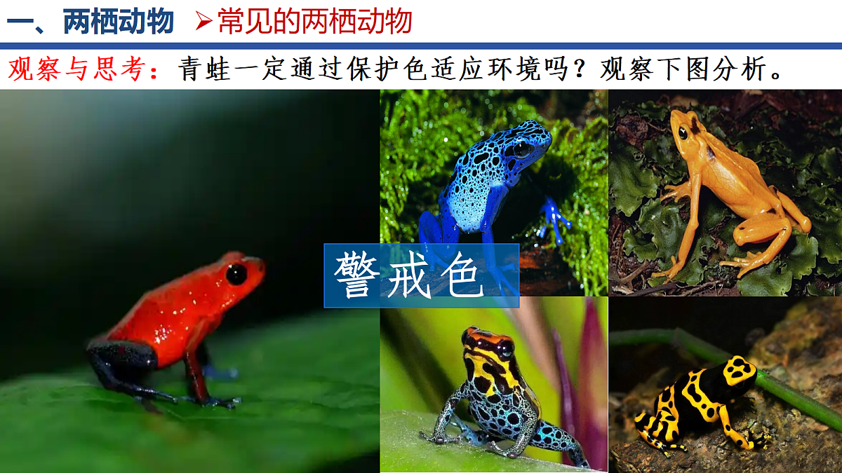 18268620第5页
