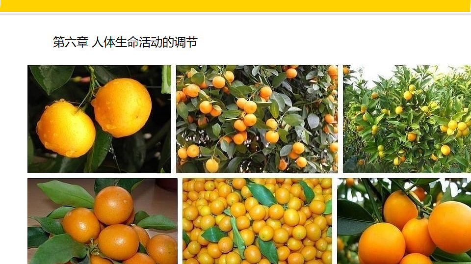 18268621第6页