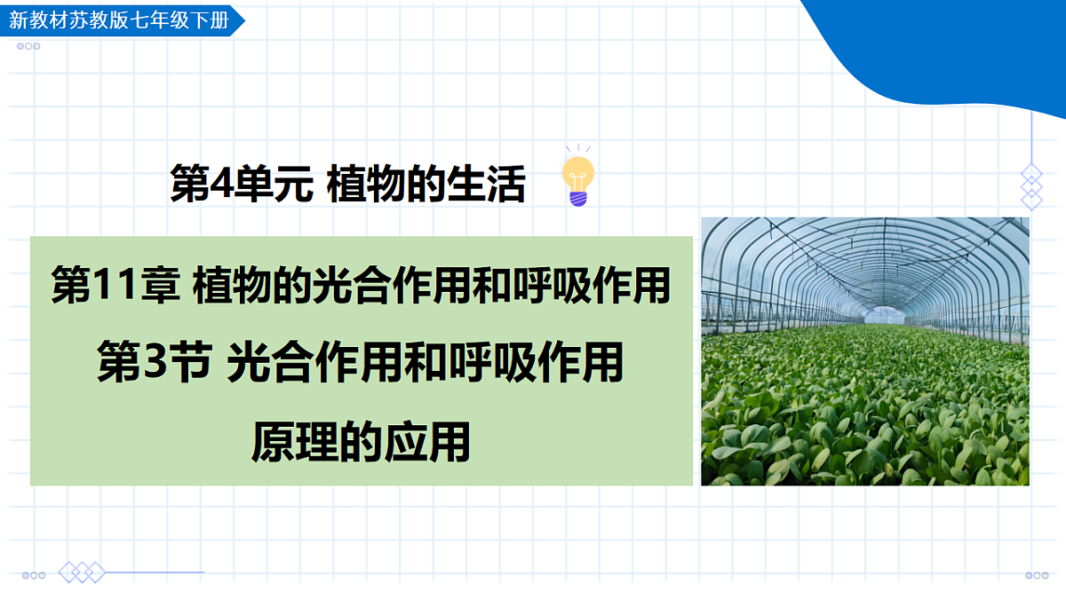 18268706第1页