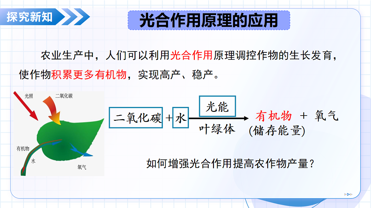 18268706第7页