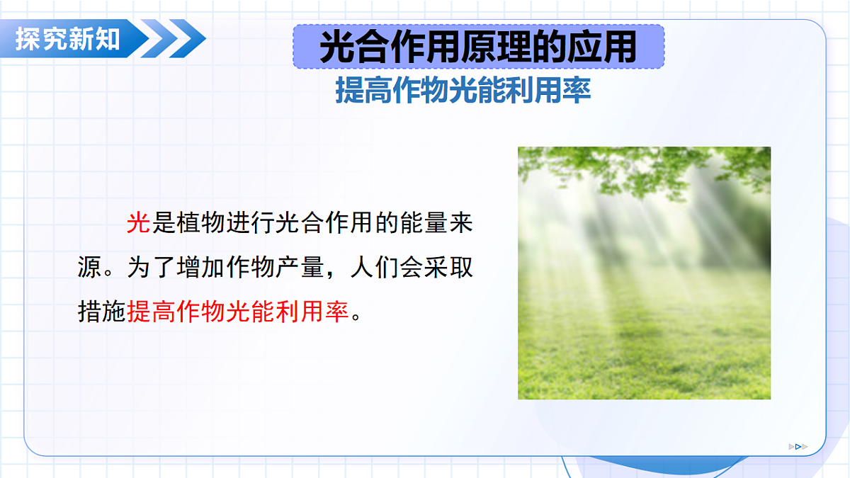 18268706第8页