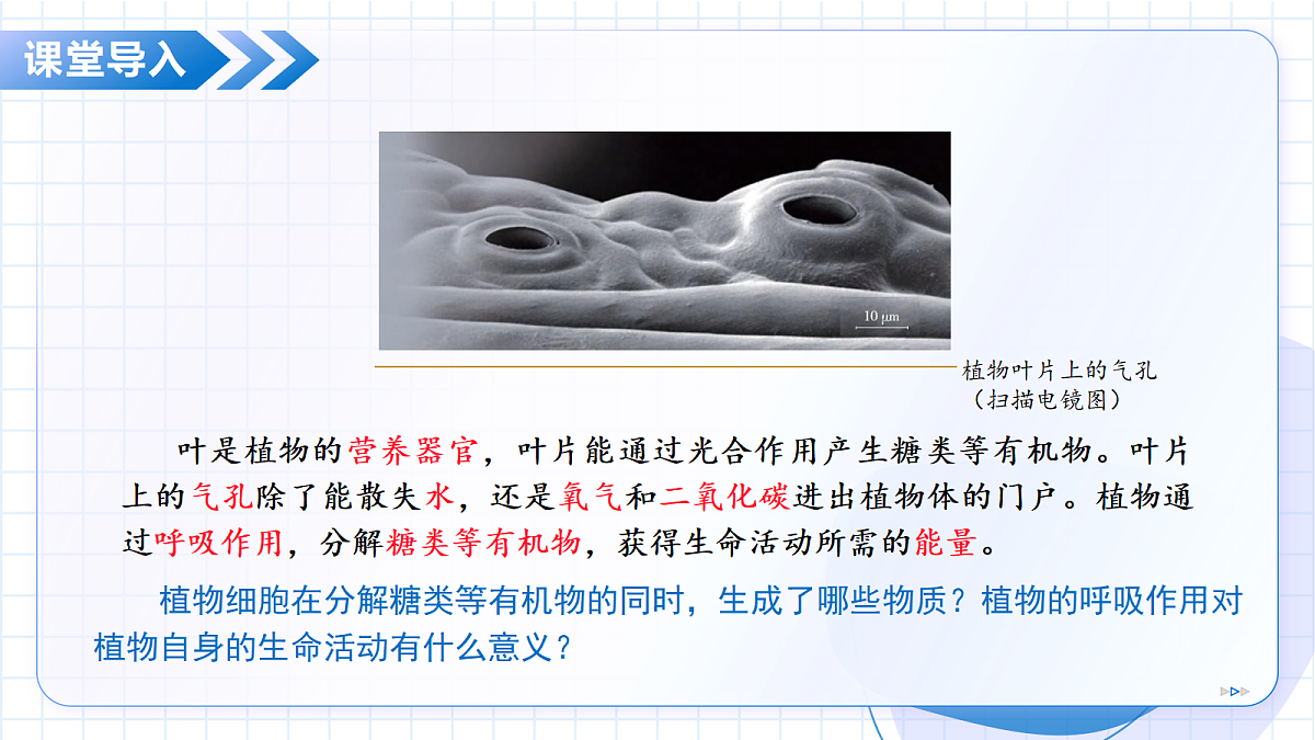 18268707第6页