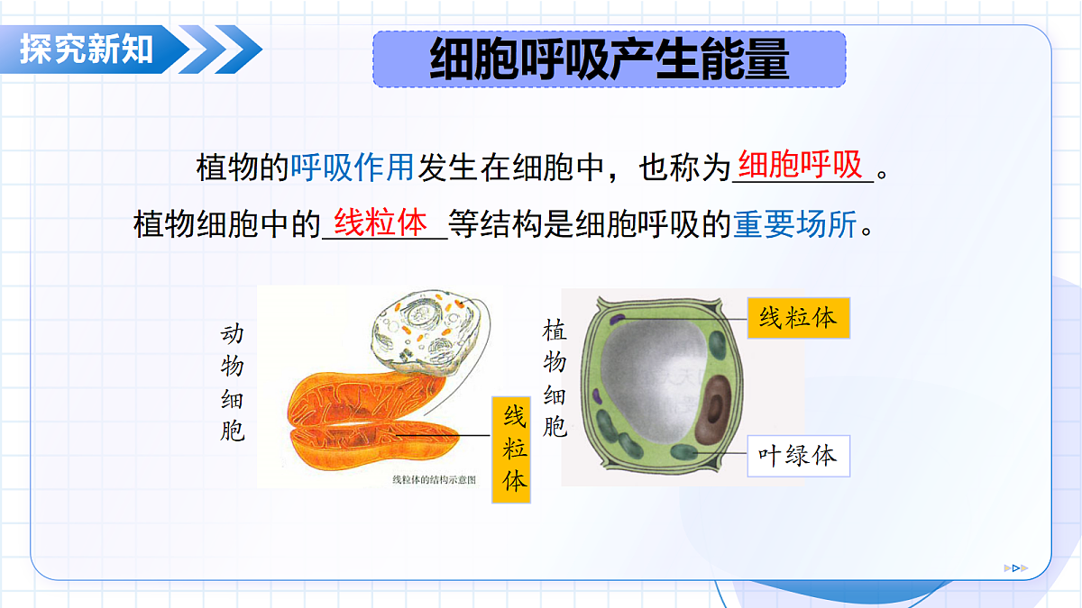 18268707第7页