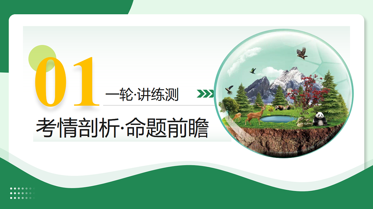18268710第3页