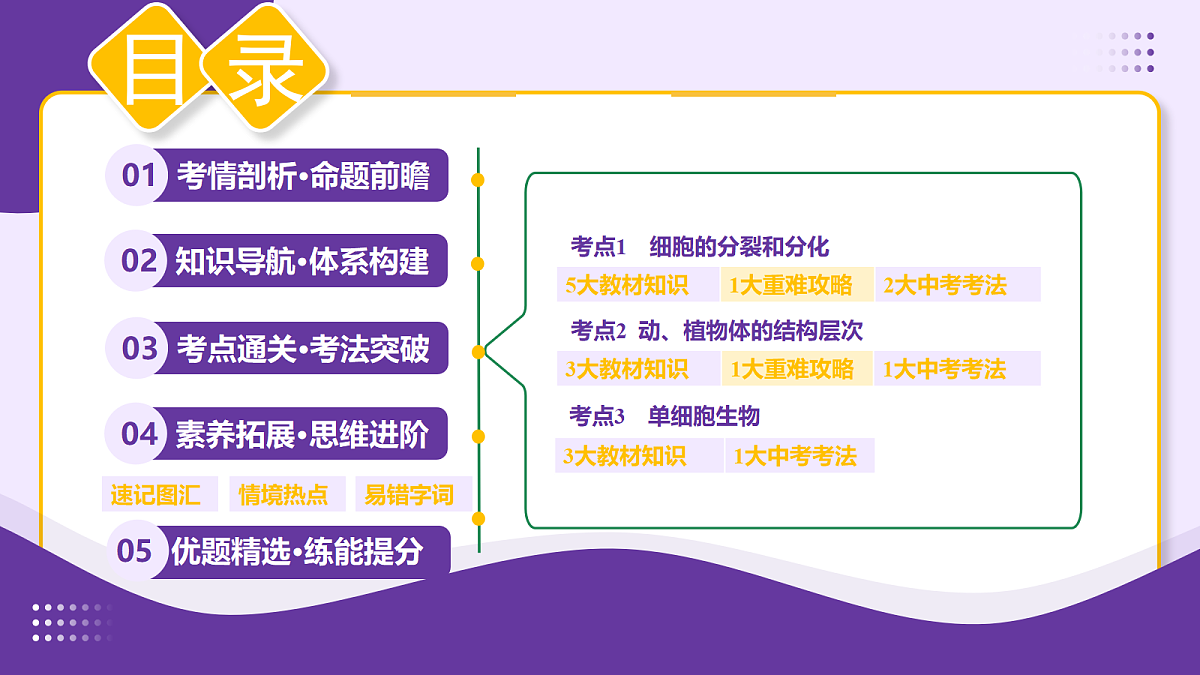 18268711第2页