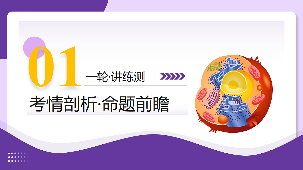 18268711第3页