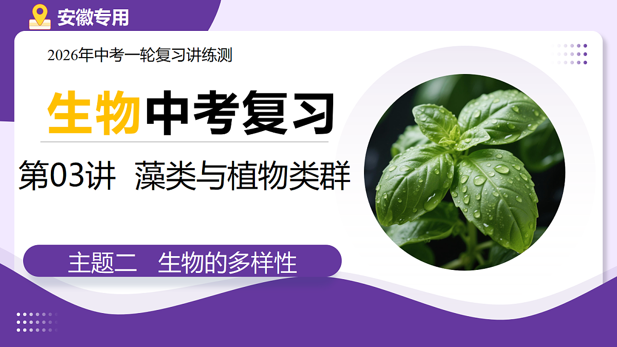 18268716第1页
